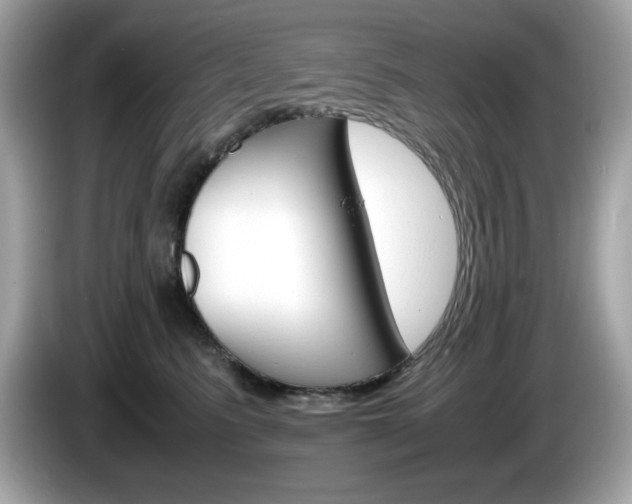 X0000086240615200703291006