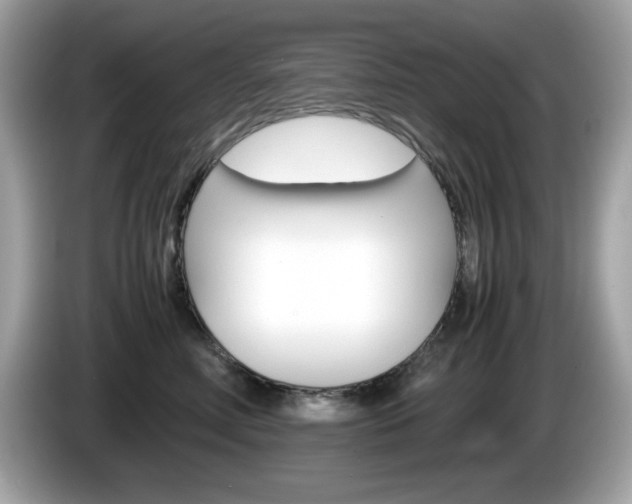 X0000086240618200703291006