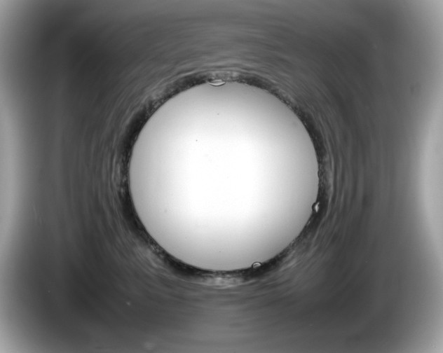 X0000086240619200703291006