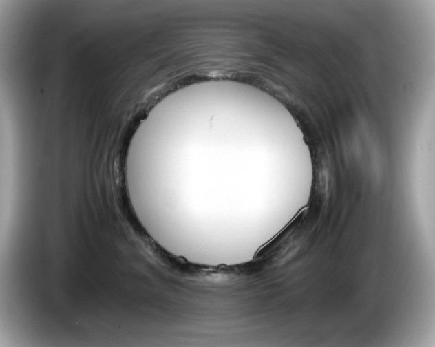X0000086240620200703291006