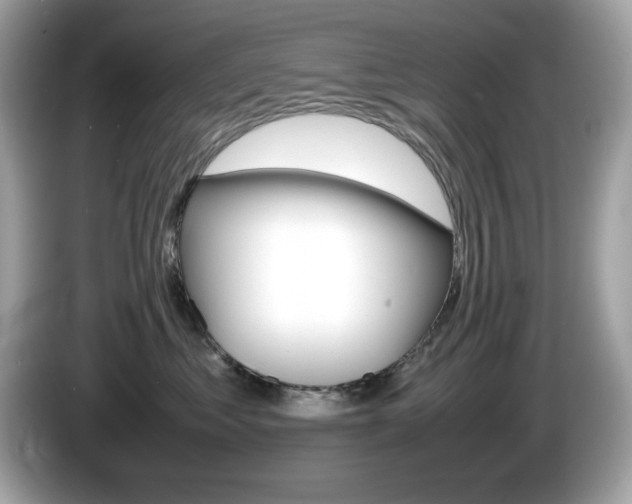 X0000086240621200703291006