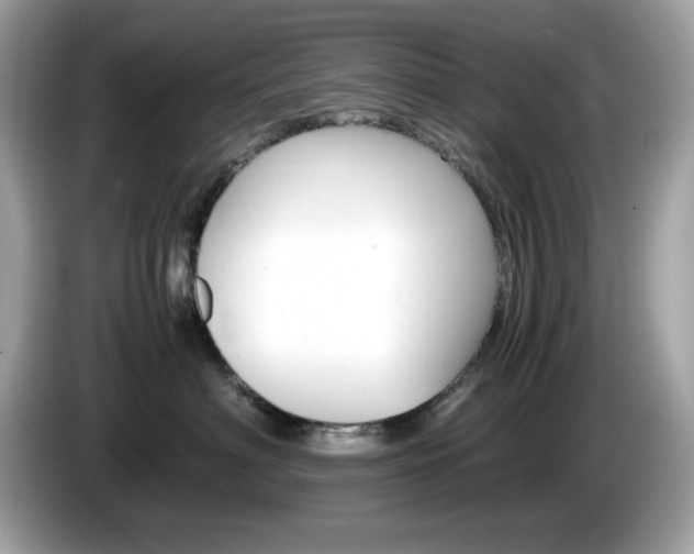 X0000086240622200703291006