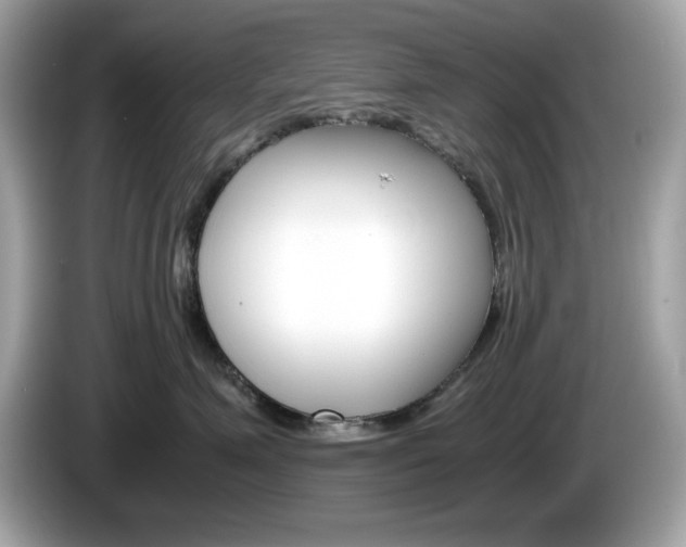 X0000086240623200703291006