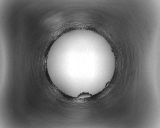 X0000086240624200703291006