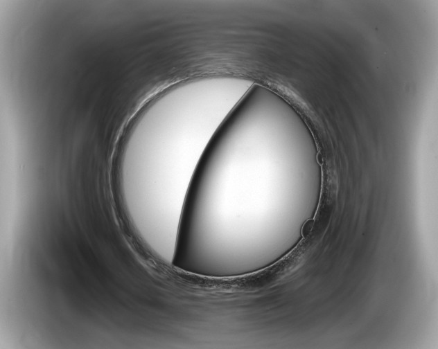 X0000086240626200703291006