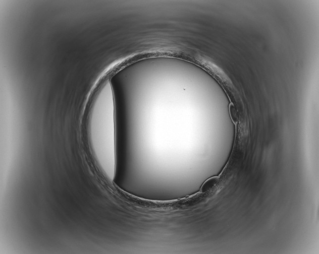 X0000086240628200703291006