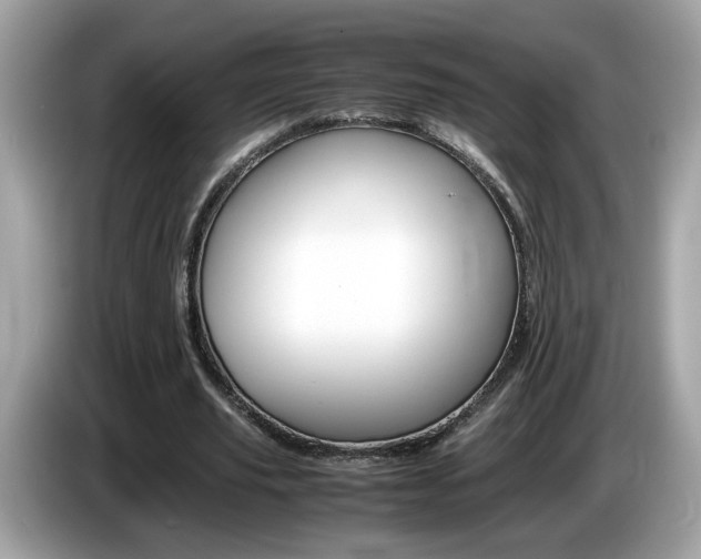 X0000086240629200703291006