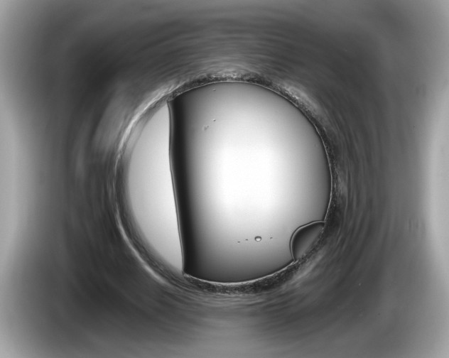 X0000086240630200703291006