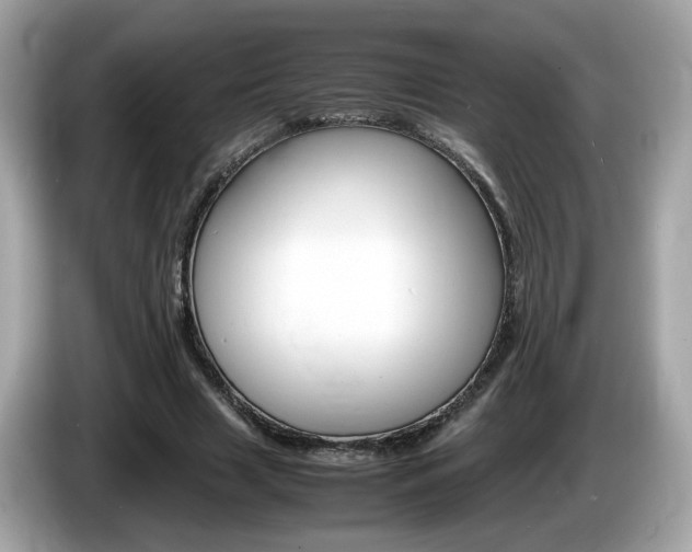 X0000086240633200703291006