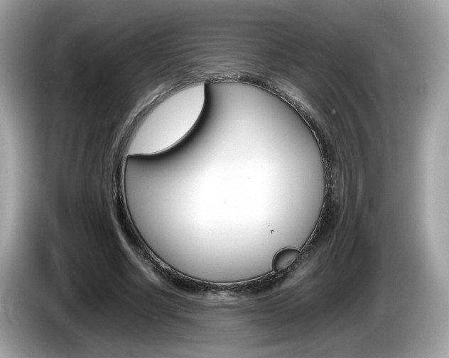 X0000086240634200703291006