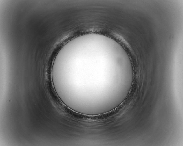 X0000086240635200703291006