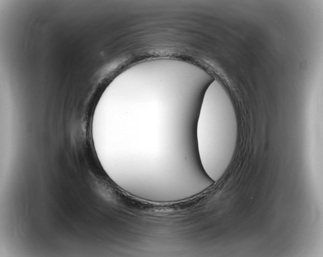 X0000086240636200703291006