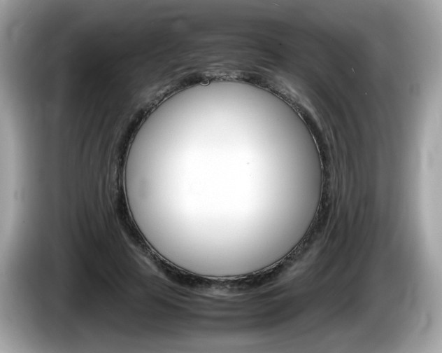 X0000086240641200703291006