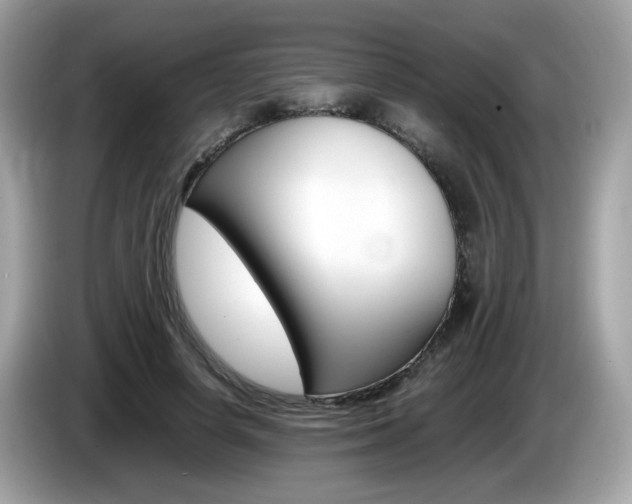 X0000086240642200703291006