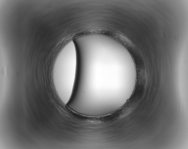 X0000086240644200703291006