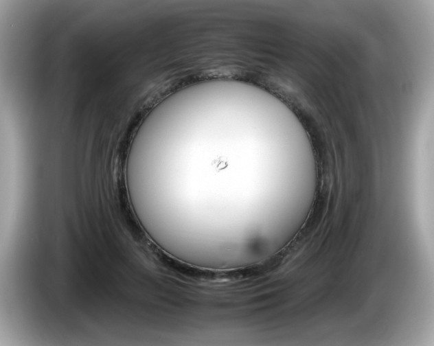 X0000086240647200703291006