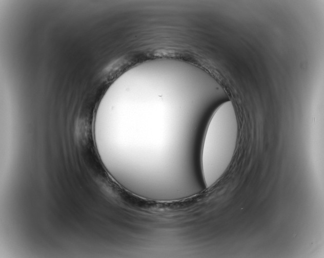 X0000086240648200703291006