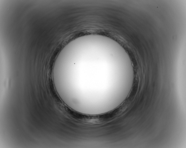 X0000086240651200703291006