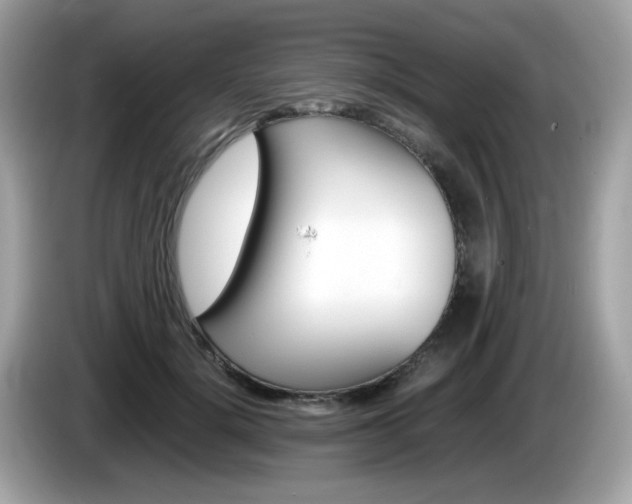 X0000086240652200703291006