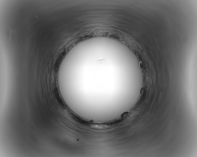 X0000086240654200703291006