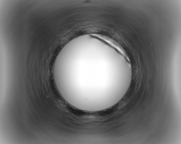X0000086240655200703291006