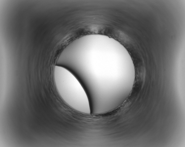 X0000086240656200703291006