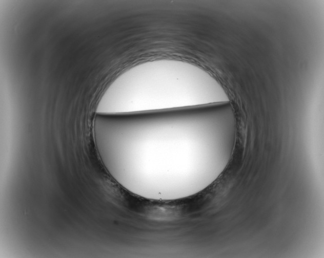 X0000086240657200703291006