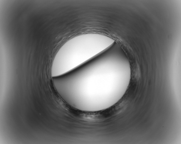 X0000086240661200703291006