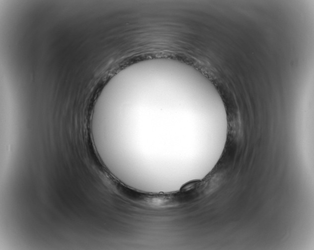 X0000086240662200703291006