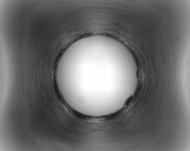X0000086240664200703291006