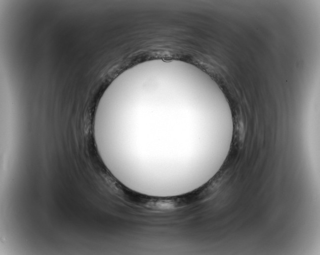 X0000086240665200703291006