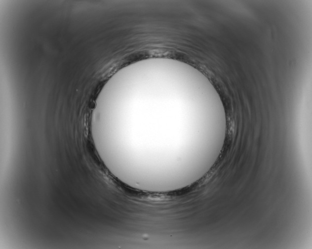X0000086240666200703291006