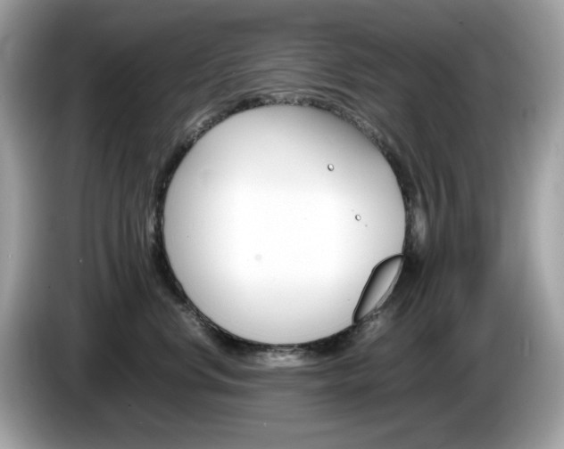 X0000086240668200703291006