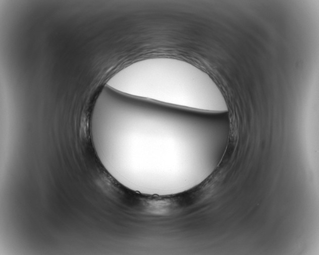 X0000086240669200703291006