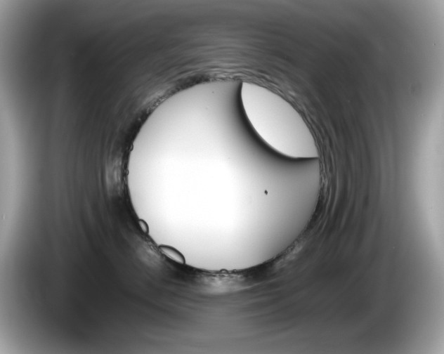 X0000086240670200703291006