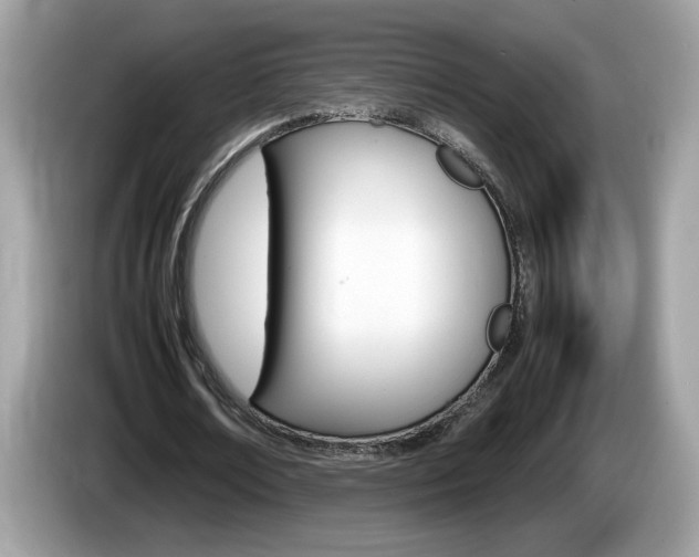 X0000086240674200703291006