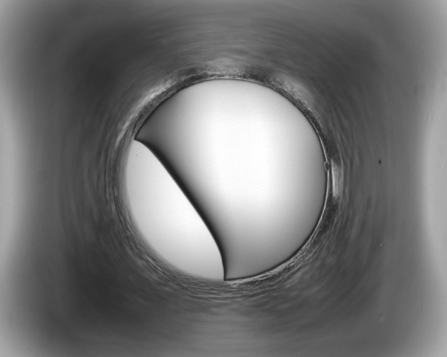 X0000086240675200703291006