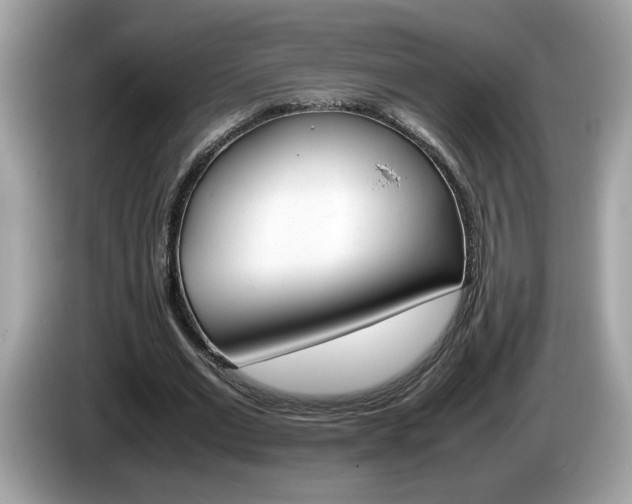 X0000086240677200703291006