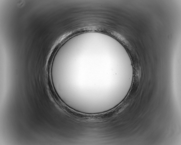 X0000086240678200703291006