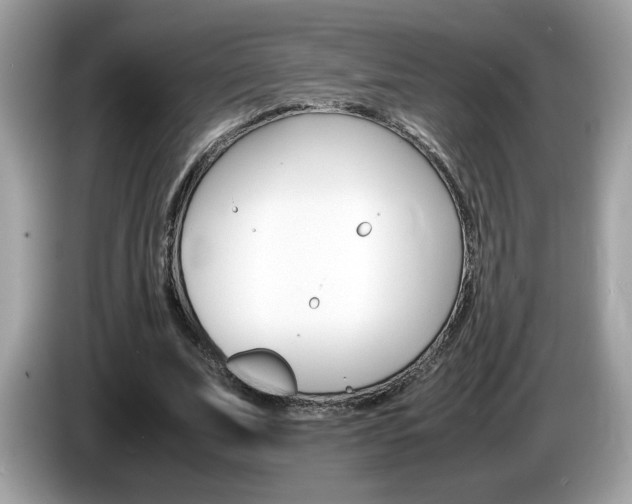 X0000086240679200703291005