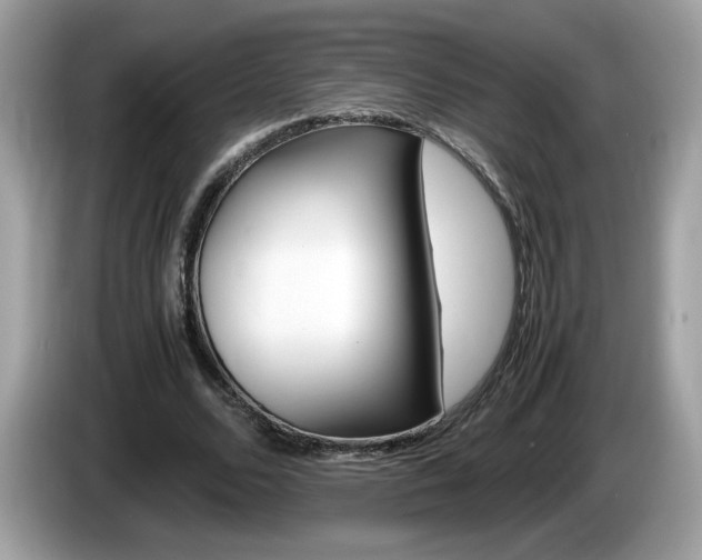 X0000086240680200703291005
