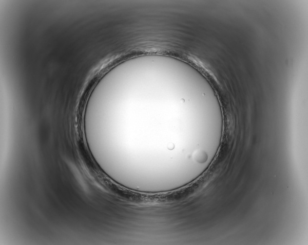 X0000086240682200703291005