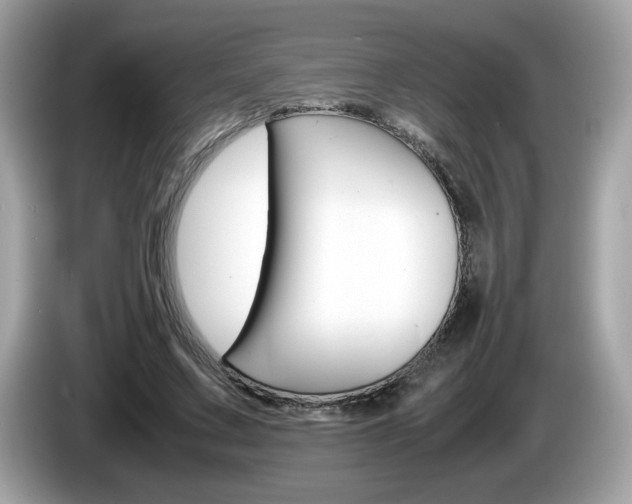 X0000086240683200703291005