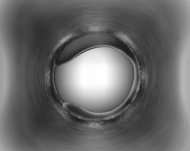 X0000086240684200703291005
