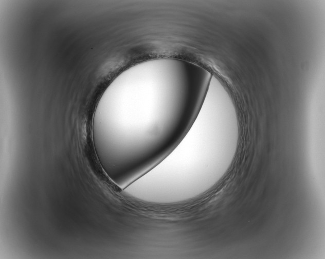X0000086240685200703291005