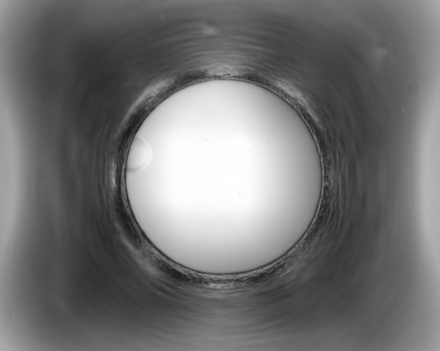 X0000086240686200703291005