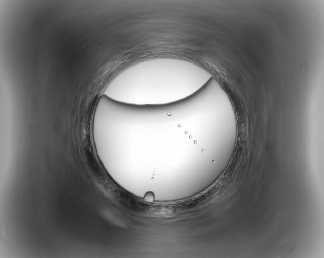 X0000086240687200703291005