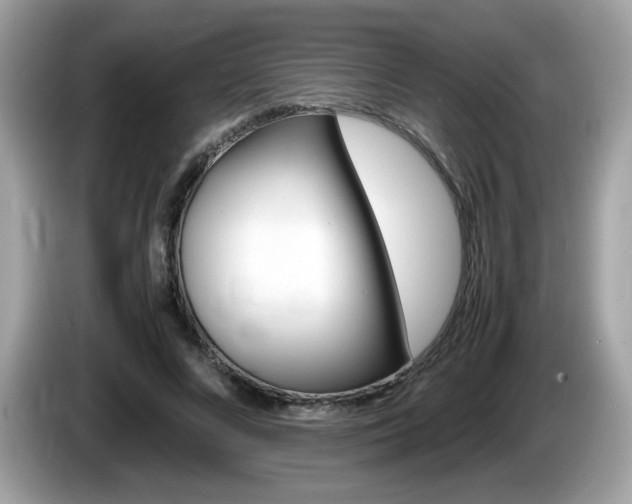 X0000086240688200703291005