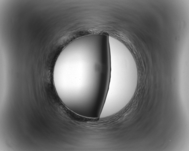 X0000086240689200703291005
