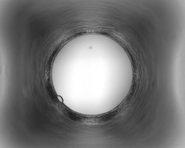 X0000086240691200703291005